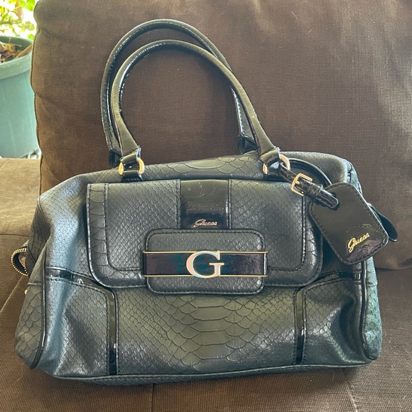 Meet your Posher, Reagan - Picture 10 of 16